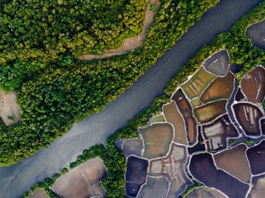An aerial shot of a river with mangrove forests on one side and a number of small ponds on the other