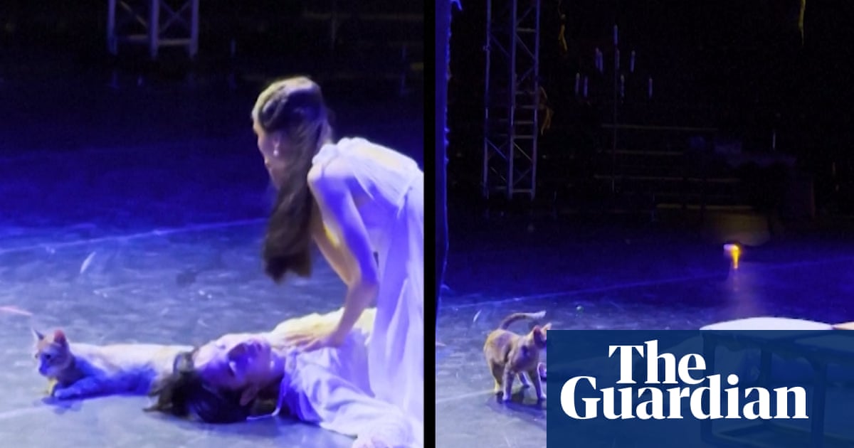 O Romeow … cat steals the show during final scene at Romeo and Juliet ballet - video