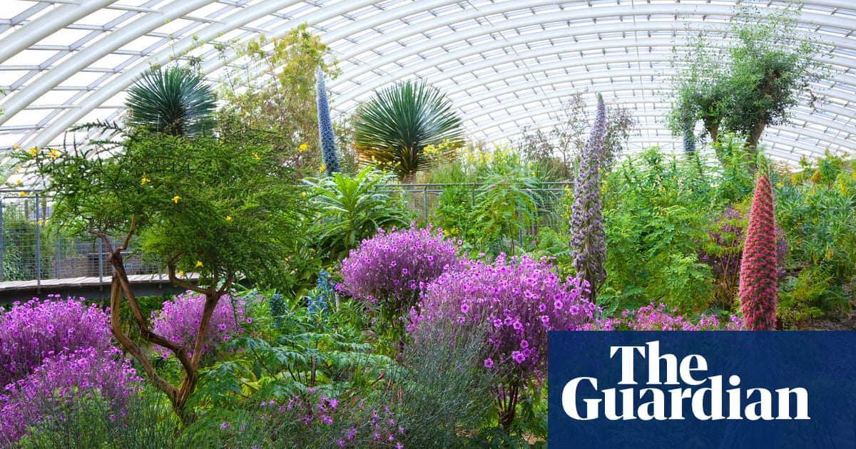 10 of the UK’s best botanical hothouses for a winter warm-up
