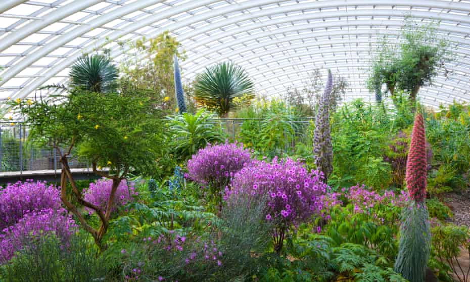 The National Botanic Garden of Wales, in Carmarthenshire