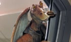 These aren't the spinoffs you are looking for: Star Wars movies that should never get the green light