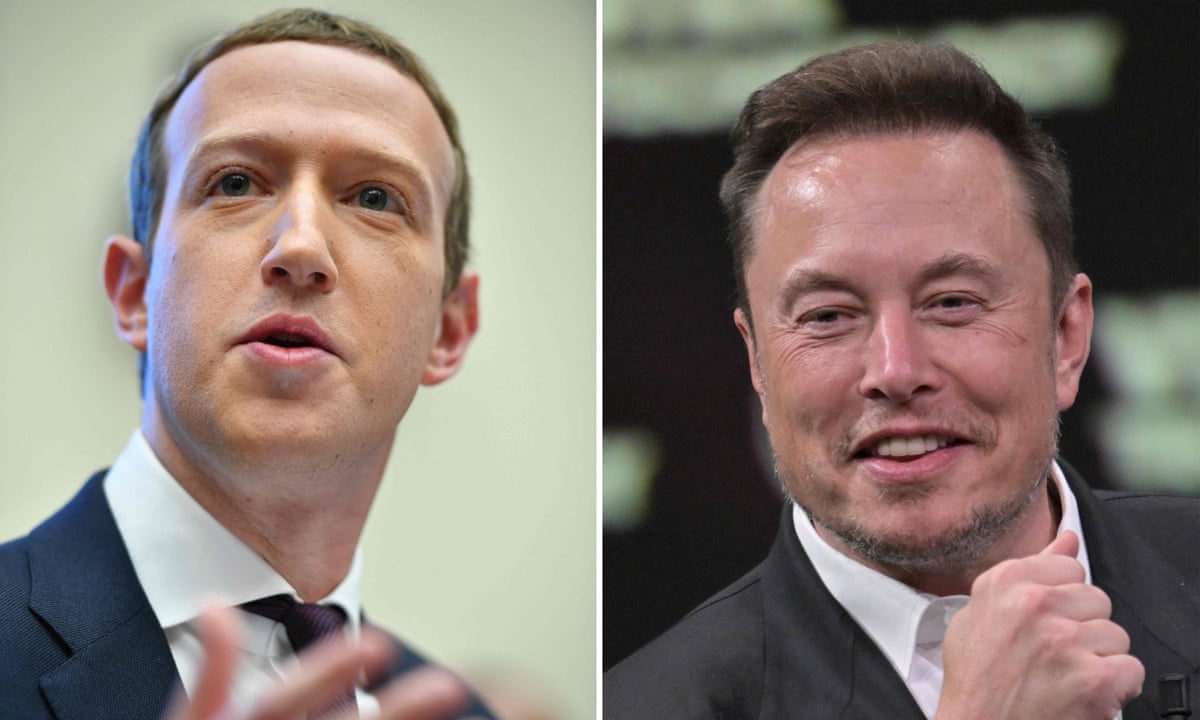 Mark Zuckerberg and Elon Musk say they're up for a cage match. Who would win? | Elon Musk | The Guardian