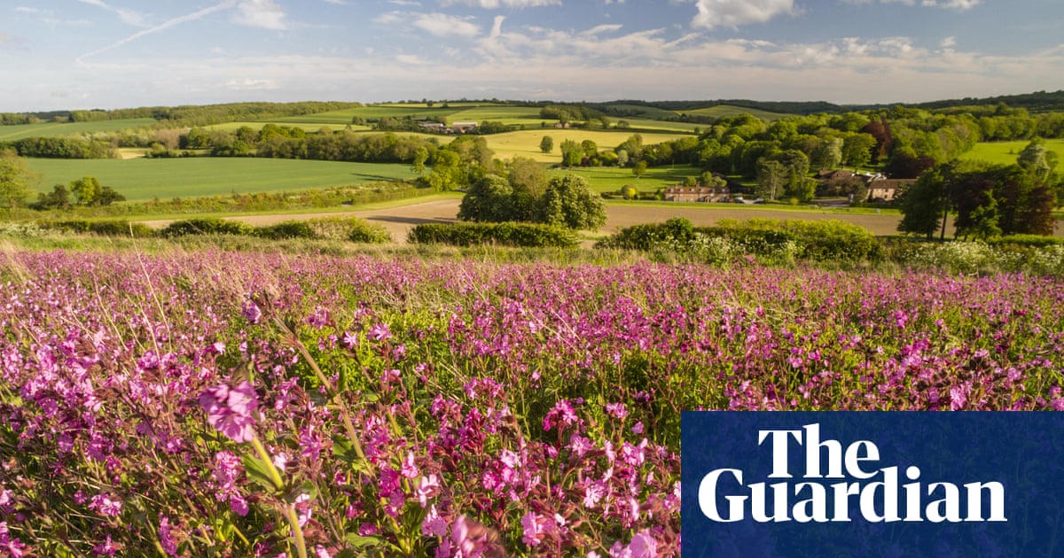 Country diary 1906: The wild plants are overflowing with health