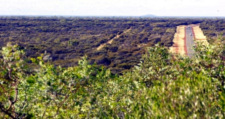 Dense scrub near Barrow Creek