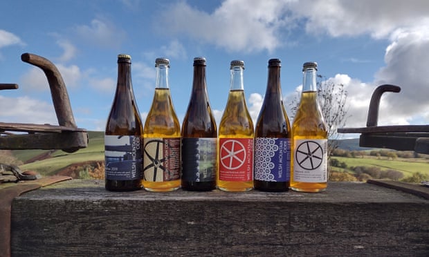 Wales’s foodie renaissance: on the path of a unprecedented nationwide delicacies | Wales holidays