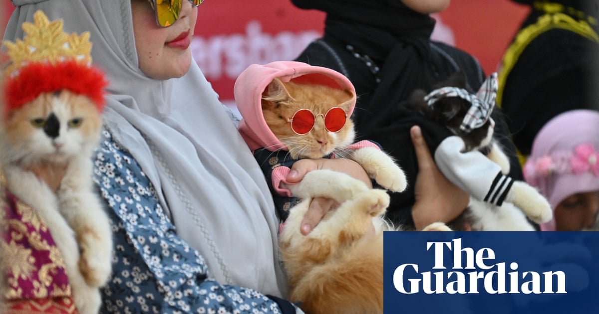 Cat fashion week and a bull run: the weekend’s best photos