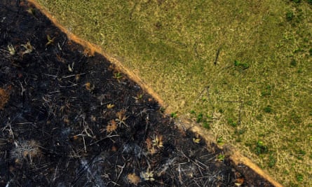 An aerial view of a burnt area of the Amazon rainforest in Labrea, southern Amazonas state, Brazil.