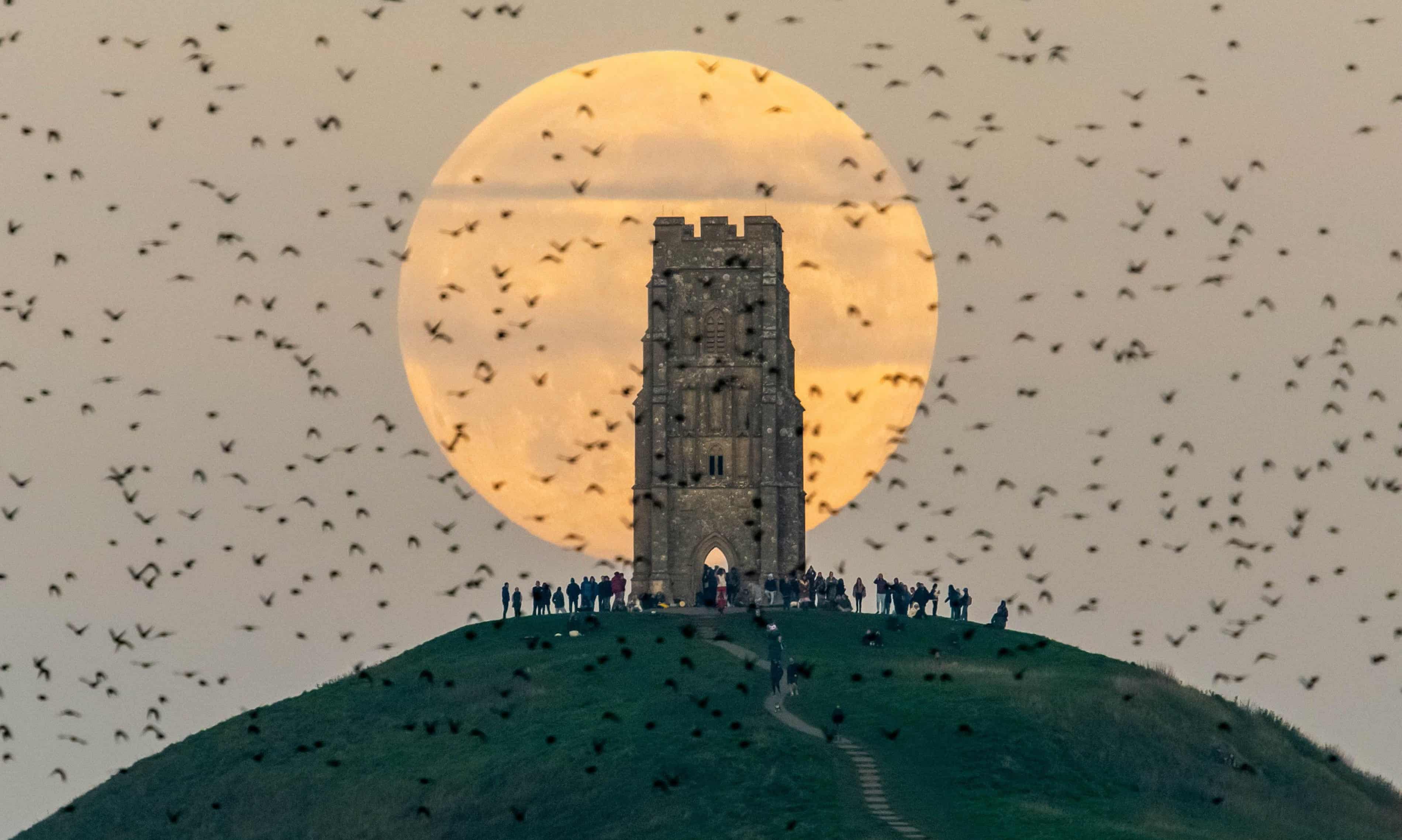 Superlună castorului pe cerul nopții cu imagini spectaculoase | sursa foto: The Guardian Superlună castorului pe cerul nopții cu imagini spectaculoase | sursa foto: The Guardian