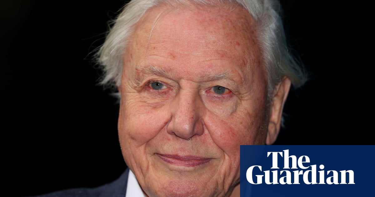 David Attenborough accuses ministers of ‘short-sighted’ attack on TV networks