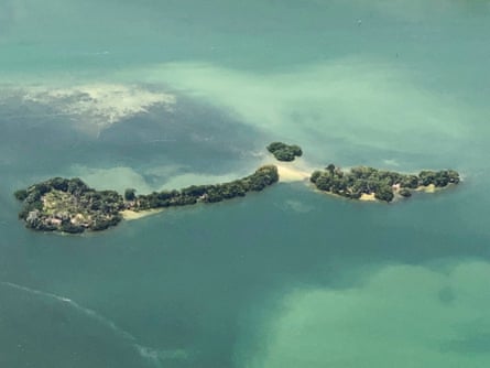 Bird Key Environmental advocates heartbroken over sale of Florida seabird ...