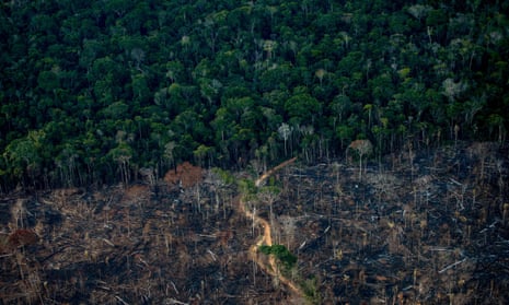 Aerial photograph of Amazon rainforest