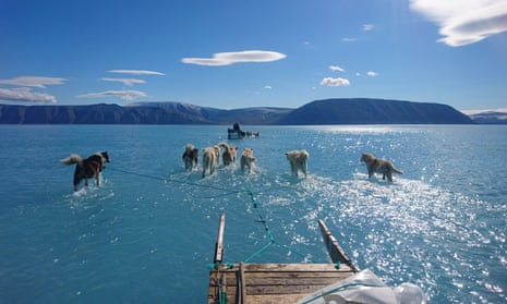 Sled dogs wade through standing water on the sea ice during an expedition in north-western Greenland. Thick ice in the area forms reliably every winter with few fractures for meltwater to drain through. This year saw the onset of very warm conditions in Greenland.