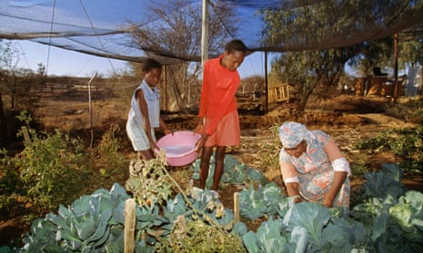 A family waters crops with dishwater in a township in Namibia’s capital, Windhoek