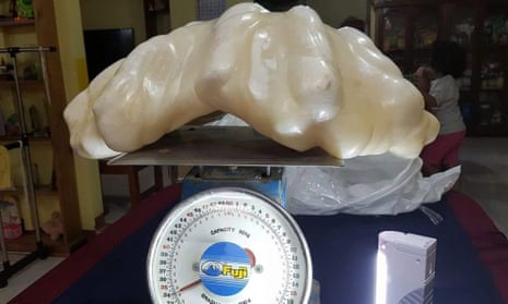 The pearl, which weighs 34kg, may end up being certified as the biggest in the world.