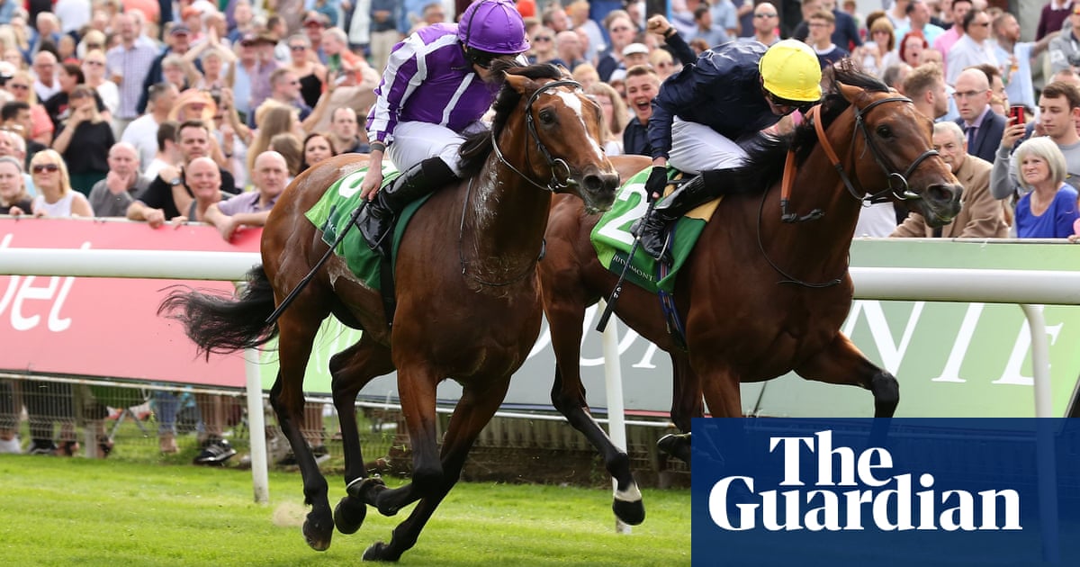 Talking Horses: Crystal Ocean was the best runner-up a star could want