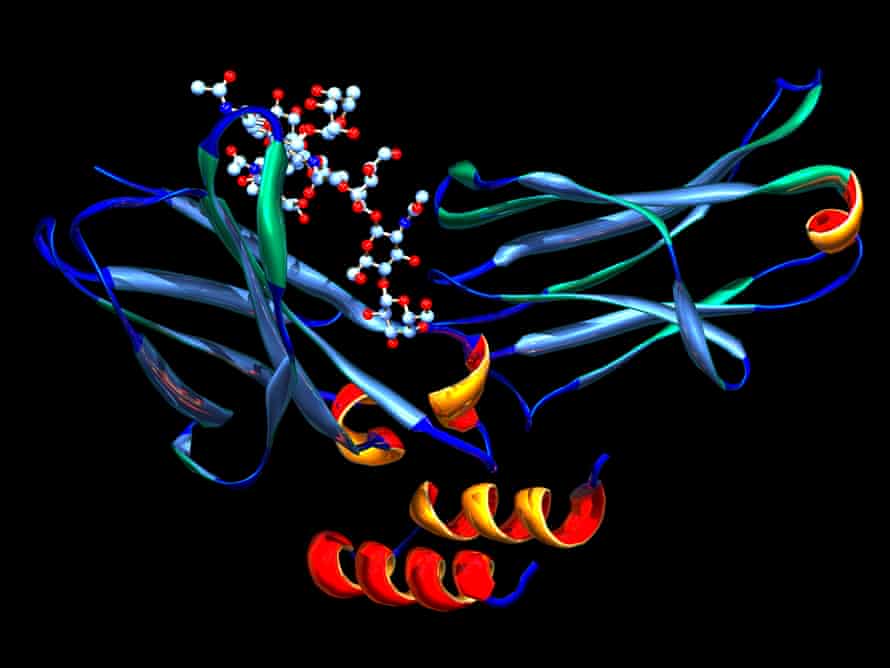 A computer model of the structure of the drug rituximab