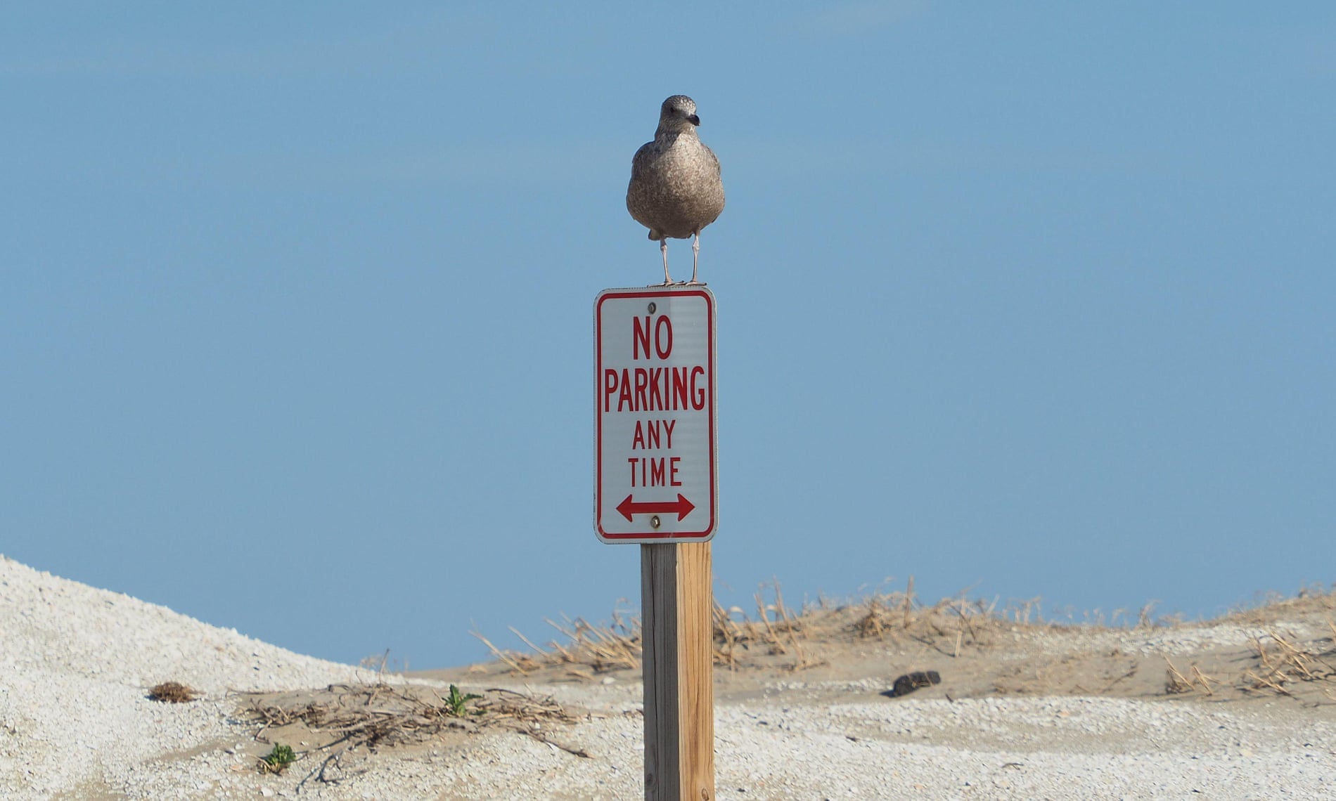 News 14.04.23: Five Essential Articles from Around the Web