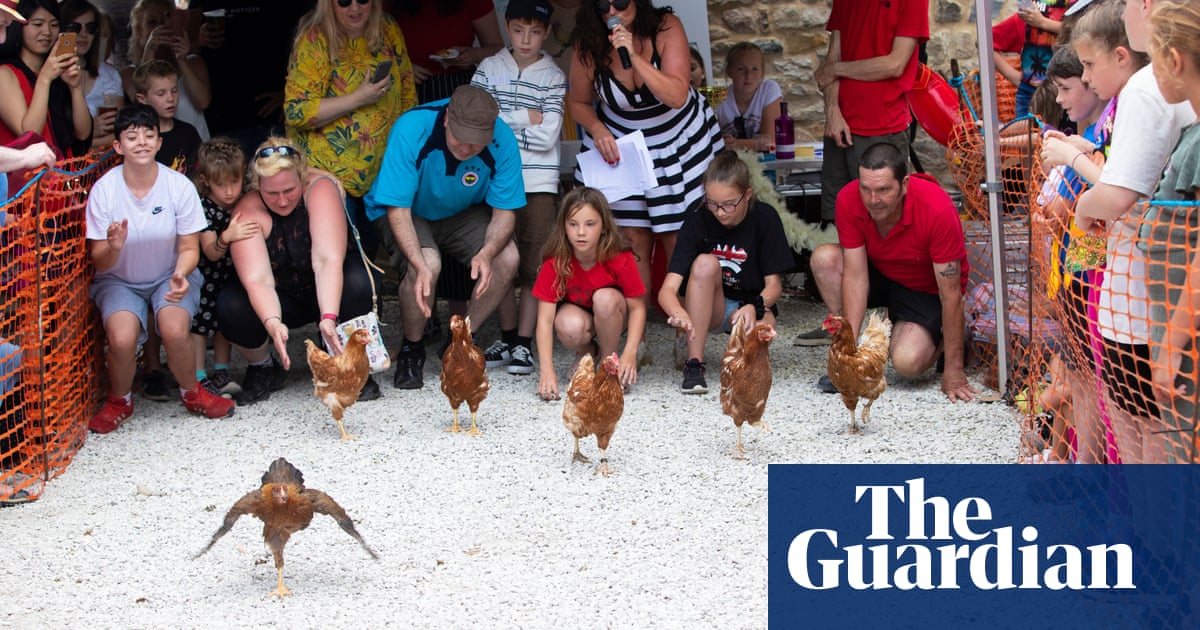 Chicken run: Derbyshire hen racing โ in pictures | UK news | The Guardian