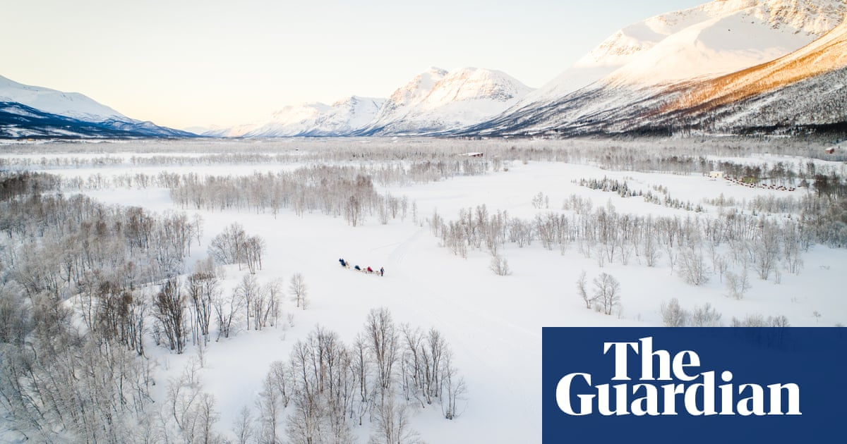 'The treeline is out of control': how the climate crisis is turning the Arctic green - The Guardian