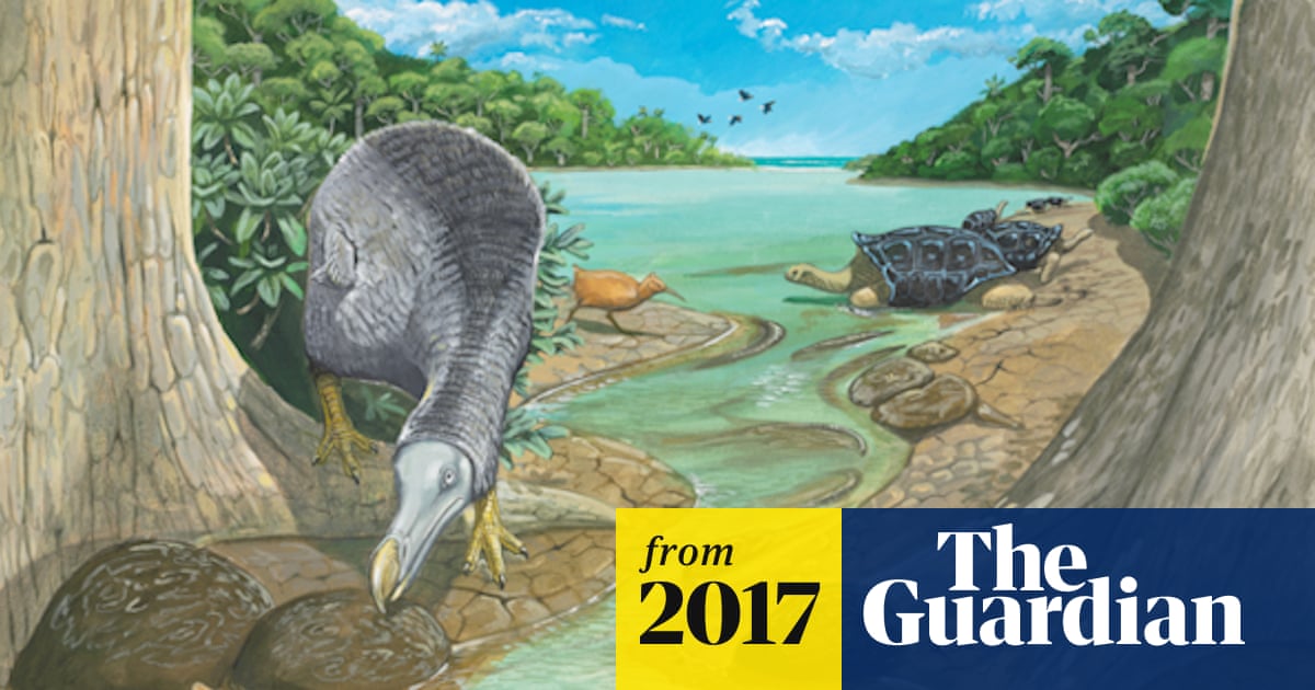 What was the Dodo Birds Habitat: Unveiling Its Mysterious Home