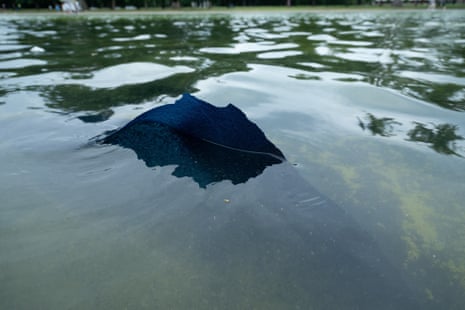 On 18 June, journalists reported that pieces of the newly installed blue polyurea liner had peeled away from the bottom of the Lincoln Memorial reflecting pool just one week after the renovation had been called complete.