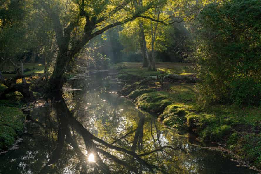 The Beaulieu River in the New Forest National Park