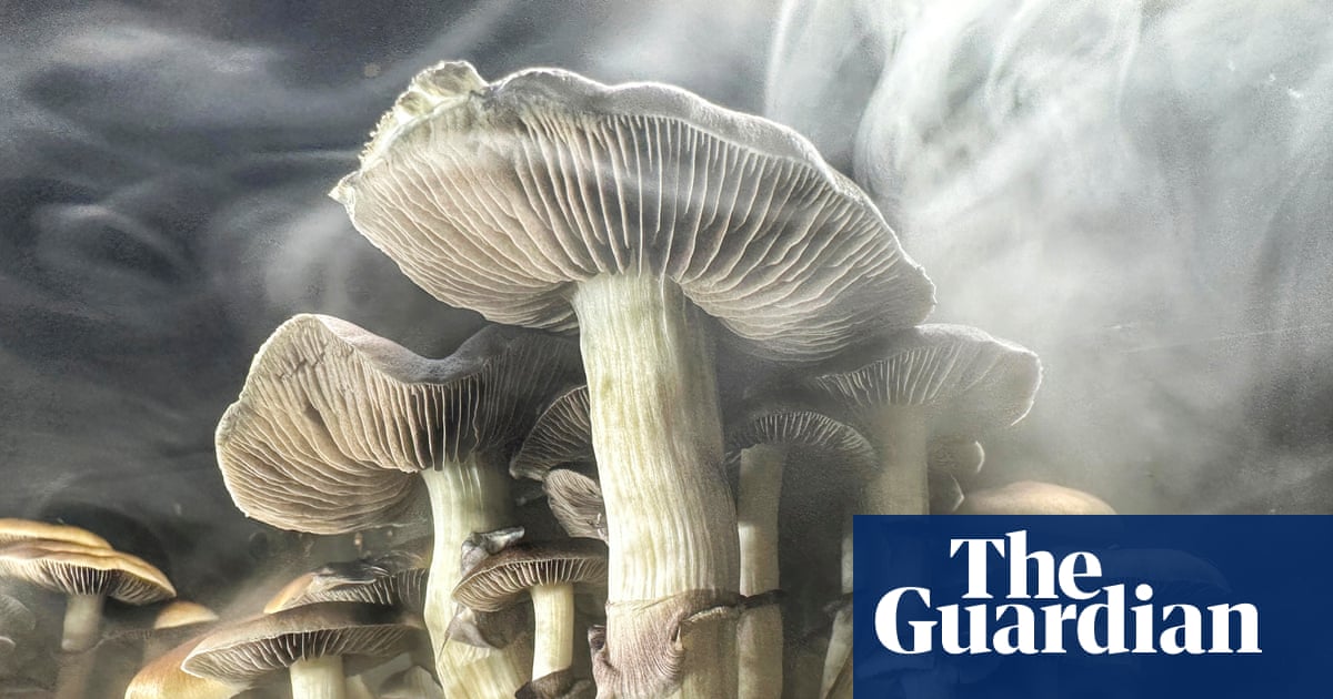 Inside the US’s psychedelic church boom, where taking drugs is legal