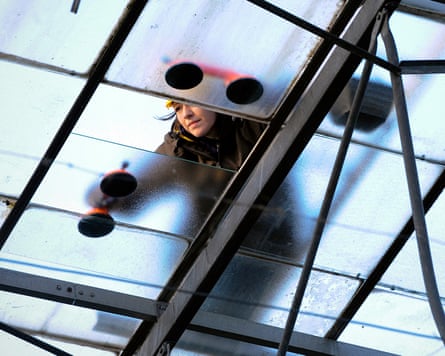 An expert installing a panel on a greenhouse roof