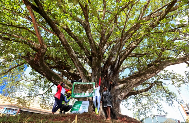 Activists stand under the tree