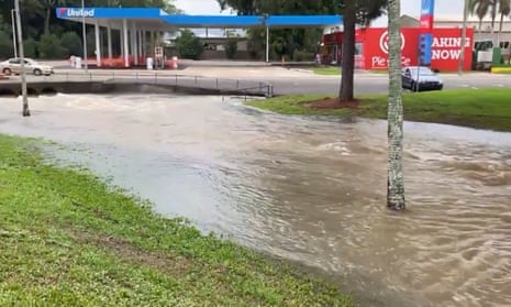 The saltwater crocodile in a flooded creek in Ingham.