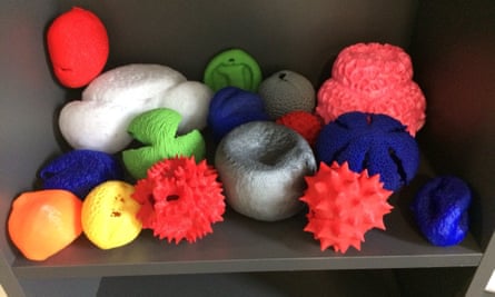 A selection of 3D pollen models.