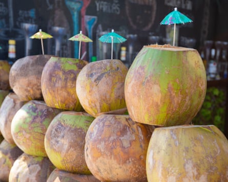 Coconuts For Sale