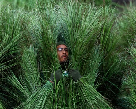 A man in a green hat whose head is poking out of some tall fake grass