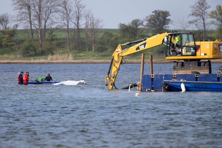 Someone with a forklift truck mounted on top of a boat approaches Timmy the whale