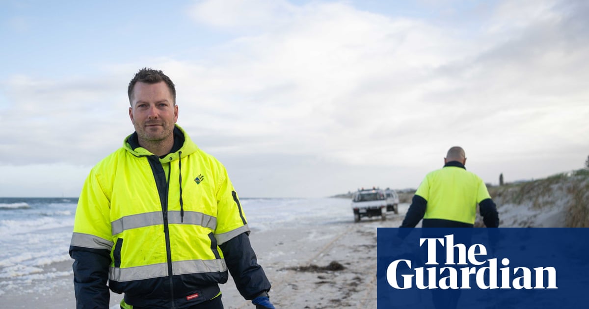 Over 11 gruesome kilometres, teams fill bag after bag of marine life killed by SA’s stubborn algal bloom
