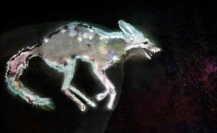 An image of a dead fox that appears white in spots on a black background with white spots on it representing stars