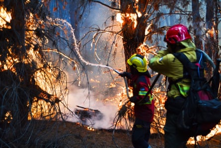 People in protective clothing spray water on to fiercely burning trees.