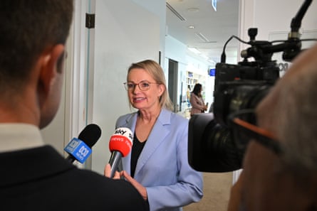 Sussan Ley speaking to the media