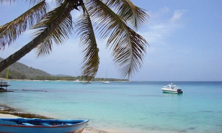 A palm tree hangs over a blue boat at a beach inMustique.