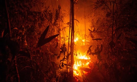 Jungle burns near Porto Velho
