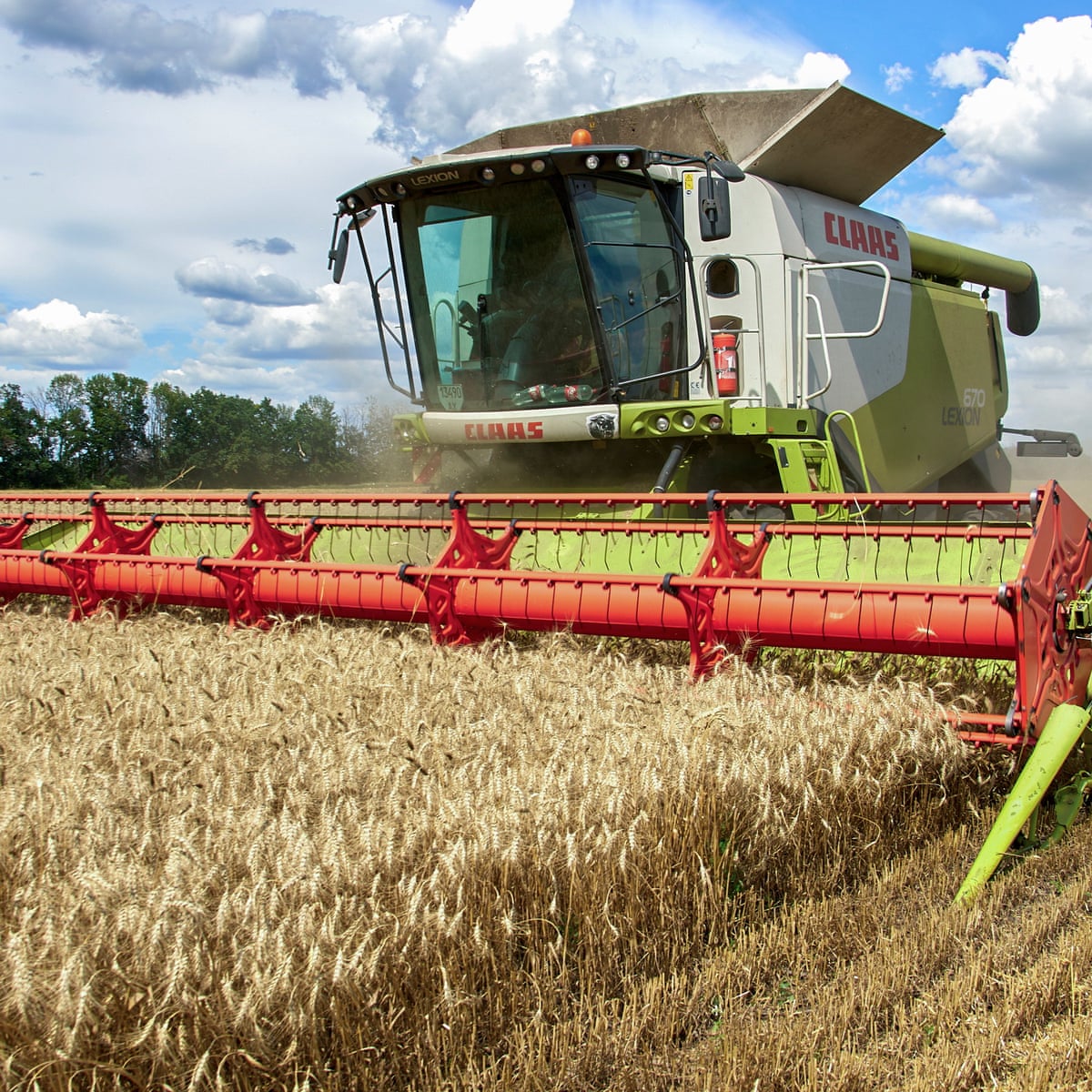 Ukraine and Russia sign UN-backed deal to restart grain exports | Ukraine | The Guardian
