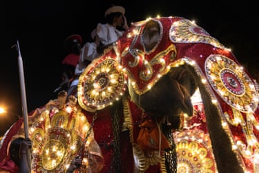 Aaron Gekoski, Under the Lights An elephant carries multiple riders through the night streets of Colombo during the Perahera, her body covered in an illuminated ceremonial costume. The heavy fabric obscures her ears, restricting movement and limiting one of the elephant’s primary ways of regulating body heat, while she is exposed to loud music, crowds, and bright lights for extended periods. The Perahera is one of Sri Lanka’s most important religious and cultural events, with a history spanning centuries. Elephants are central to the procession, symbolising power, protection, and continuity. At the same time, welfare concerns persist around prolonged standing on hard surfaces, elevated stress from sensory overload, and the continued use of ankuses, or hooks, to control elephants in crowded urban environments.