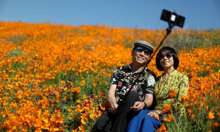 A couple takes a selfie photo in a super bloom of poppies in Lake Elsinore.