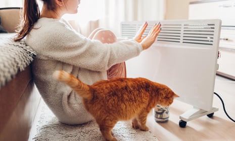 A woman warms her hands sitting near a heater with her cat