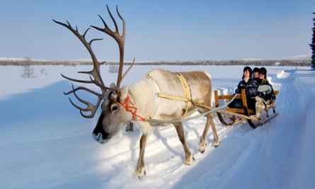 A reindeer pulling a sled across thick snow with three smiling people on it