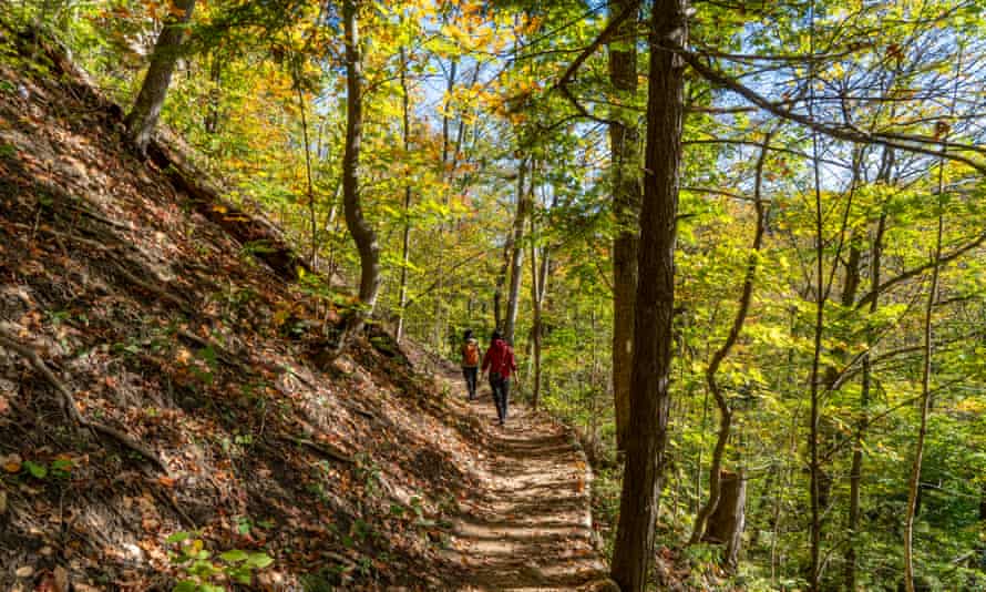 The Bruce Trail, Canada's oldest and longest footpath, stretches 900km across the Ontario Desert.