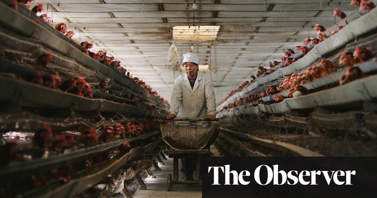 Is factory farming to blame for coronavirus?