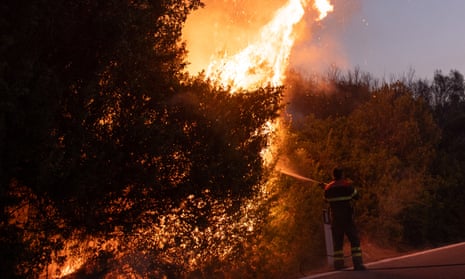 Man tries to extinguish aggressive fire burning trees