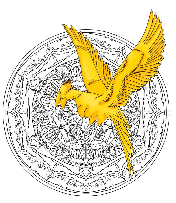 Colouring Harry Potter S Magical Creatures A Guide To