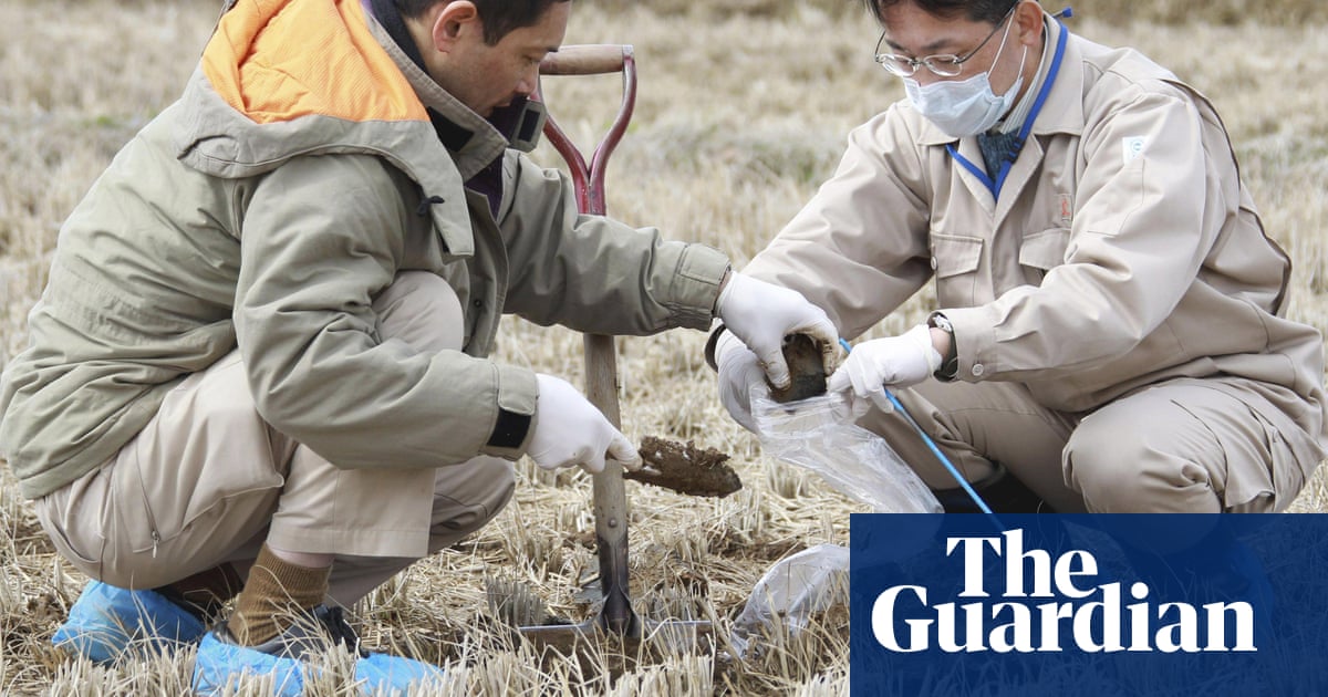 Fukushima soil headed to Japan PM's flower beds to allay nuclear safety fears